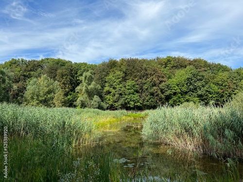 Significant landscape of Sovsko Lake or Blue eye of Slavonia, Sovski Dol - Caglin, Croatia (Značajni krajobraz Sovsko jezero ili Modro oko Slavonije - Čaglin, Hrvatska)