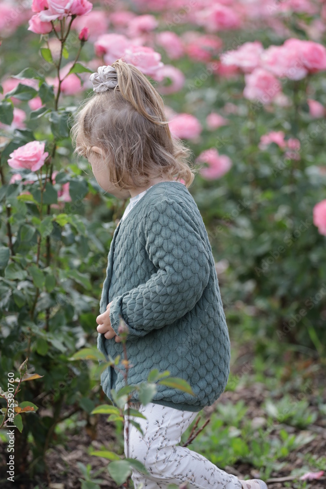little child playing with flowers in sibiu romania little child playing with flowers in sibiu romania