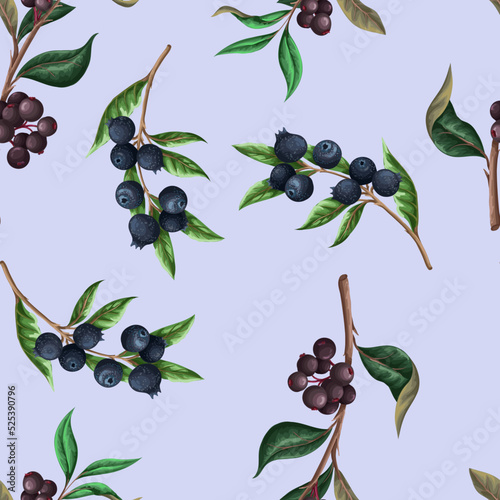 Seamless pattern with blueberries. Vector.