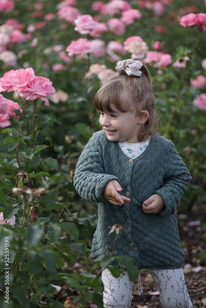 little child playing with flowers in sibiu romania little child playing with flowers in sibiu romania