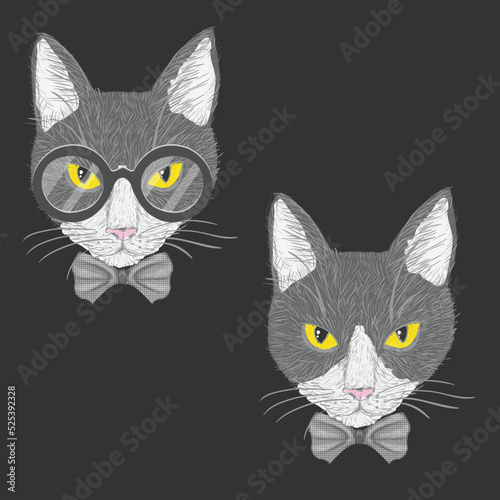 Hipster cat with glasses bow and yellow eyes isolated vector illustration