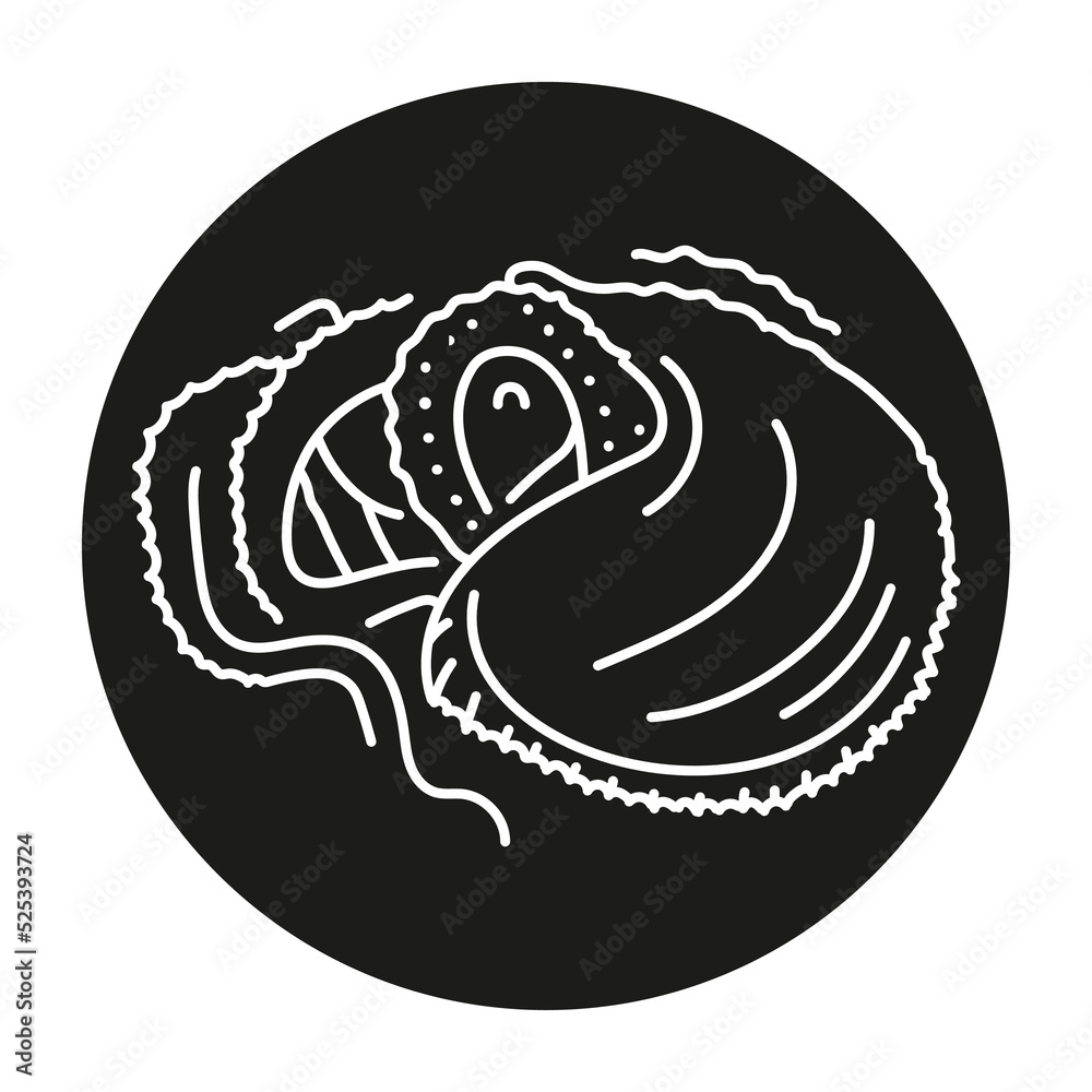 Argonaut color line illustration. Ocean fishes