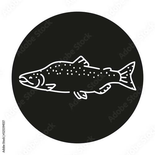 Pink salmon color line illustration. Ocean fishes