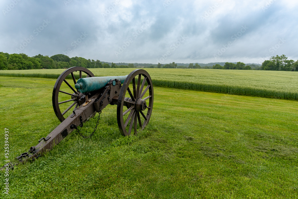 Frederick, Maryland: Field cannon at Monocacy National Battlefield, site of Battle of Monocacy in American Civil War. 12 pounder brass cannon and a wet field of green wheat or barley.