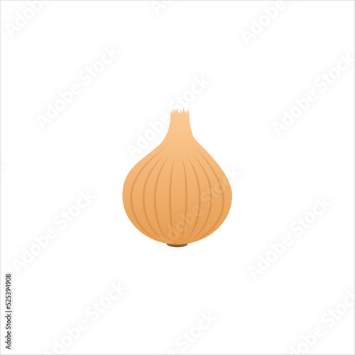 onion vector illustration on a white isolated background. vegetable concept