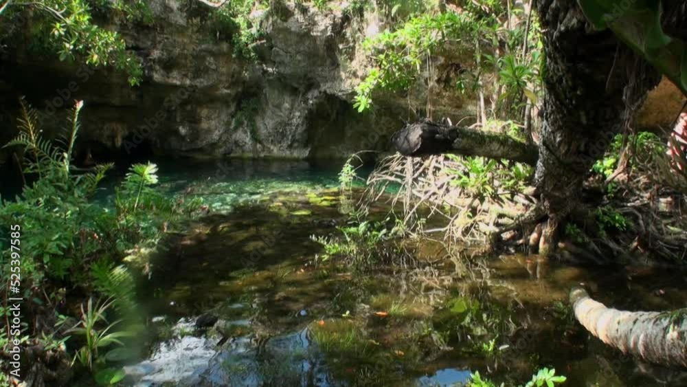 Scuba diving underwater in Yucatan Mexico cenotes. Diver in clean and clear underground water. Scuba diving underwater in Yucatan Mexico cenotes. Diver in clean and clear underground water.