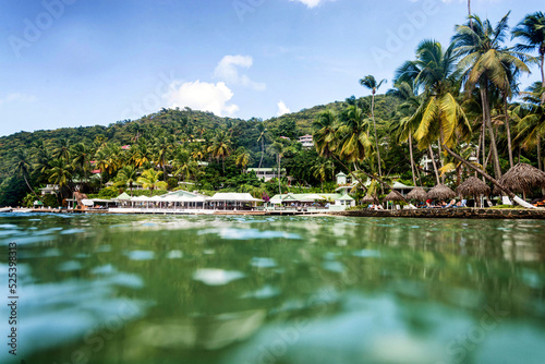 Marigot Bay St. Lucia - beach with palms photo