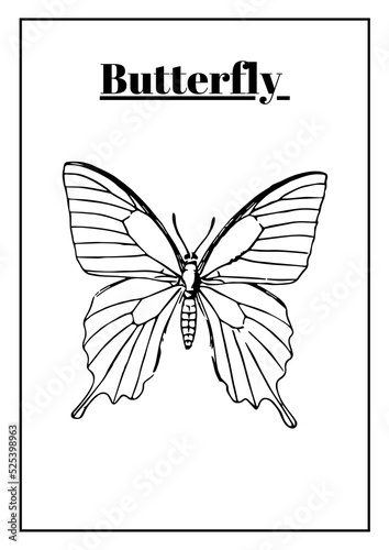 High Resolution Printable Color the Design Worksheets for Kindergarten and Preschool Kids, Drawing Practise Printable Images.