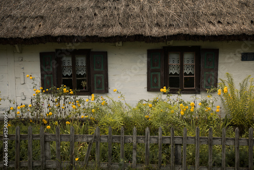 Plakat village hause