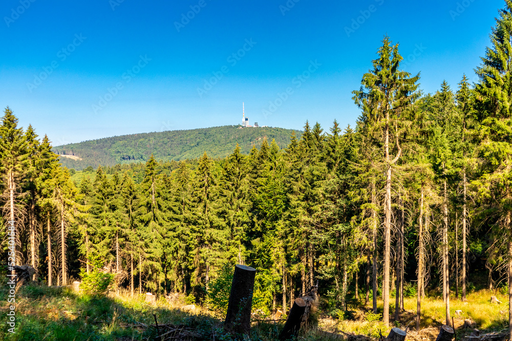 Sommerwanderung entlang des Rennsteigs bei zwischen Brotterode und Eisenach bei schönstem Sonnenschein - Thüringen - Deutschland