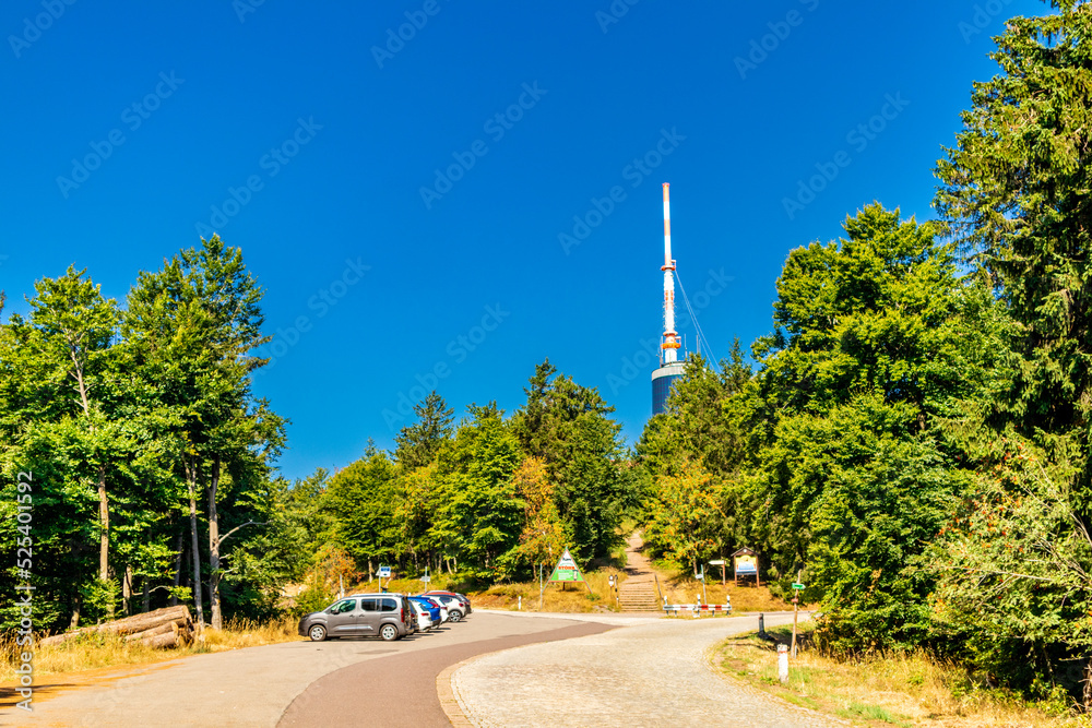 Obraz premium Sommerwanderung entlang des Rennsteigs bei zwischen Brotterode und Eisenach bei schönstem Sonnenschein - Thüringen - Deutschland