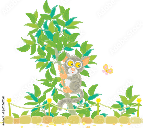 Funny exotic Philippine tarsier on a small tropical tree in an open-air cage of a zoological garden, vector cartoon illustration isolated on a white background