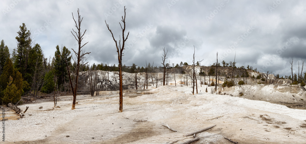 Hot spring Geyser with colorful water in American Landscape. Cloudy Sky. Yellowstone National Park, Wyoming, United States. Nature Background Panorama Hot spring Geyser with colorful water in American Landscape. Cloudy Sky. Yellowstone National Park, Wyoming, United States. Nature Background Panorama