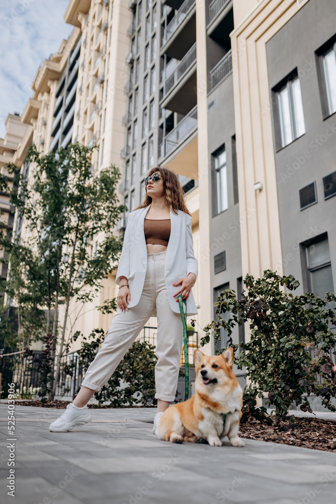 Fototapeta premium Beautiful Woman wearing white suit and sunglasses walking down the street with Welsh Corgi Pembroke dog