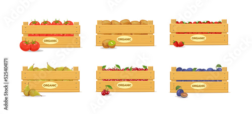Wooden box with tomatoes, kiwi, strawberries, pears, cherries and plums. Set. Fruit box icon. Vector illustration isolated on white background. © Oleg