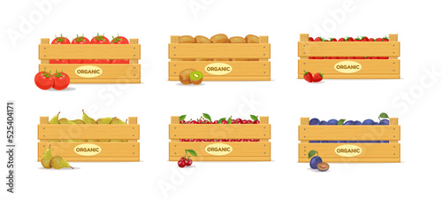 Wooden box with tomatoes, kiwi, strawberries, pears, cherries and plums. Set. Fruit box icon. Vector illustration isolated on white background.