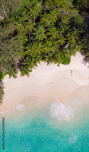 Aerial view from drone of Anse Soleil beach at Mahé Island taken in the afternoon light