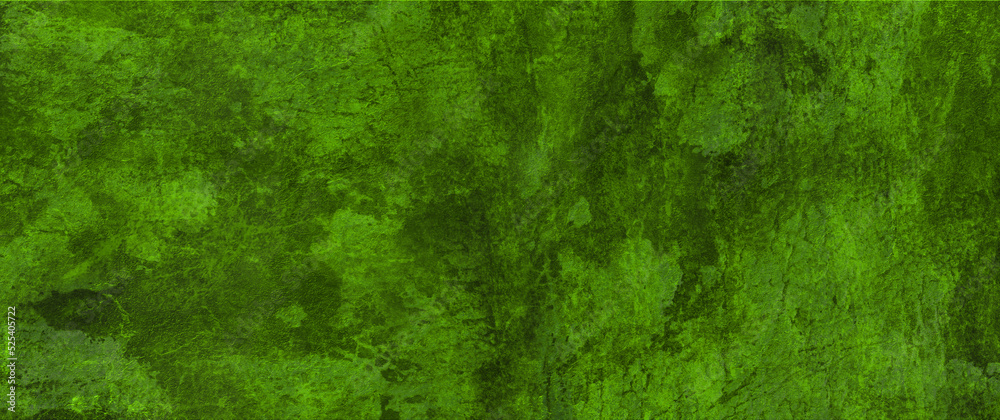 green grass texture