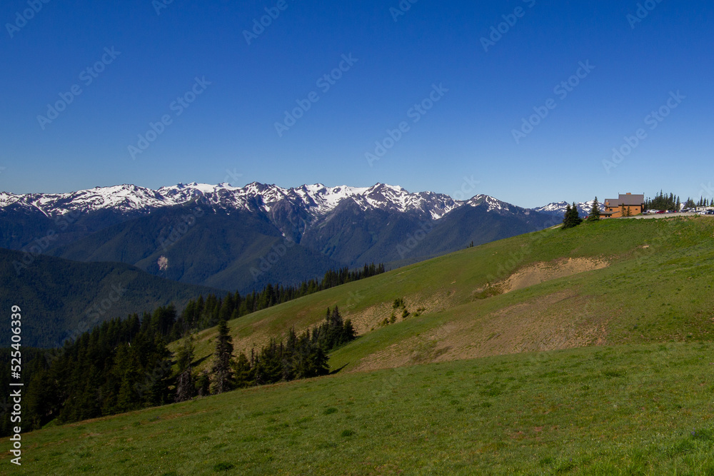 landscape in the mountains in summer
