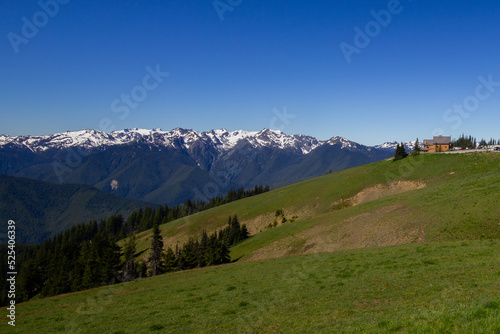 landscape in the mountains in summer