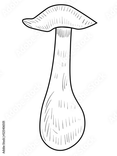 Doodle mushroom vector illustration. Black line art plant icon on white background.