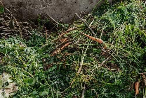 Compost pit for food waste. Concept of organic fertilizers for garden.