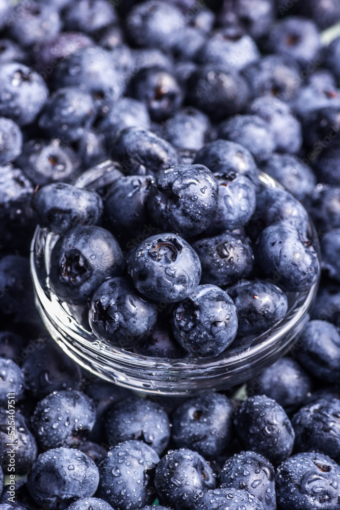 Background of juicy wet blueberries. Blueberries close up