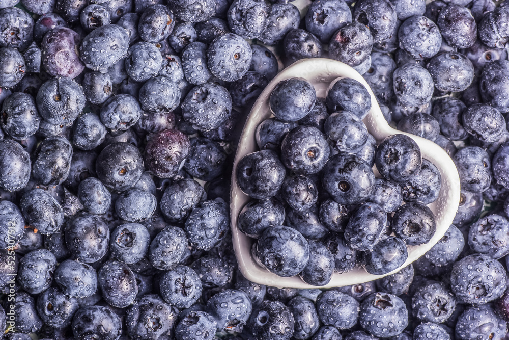 Juicy blueberries in a bowl on a berry background.