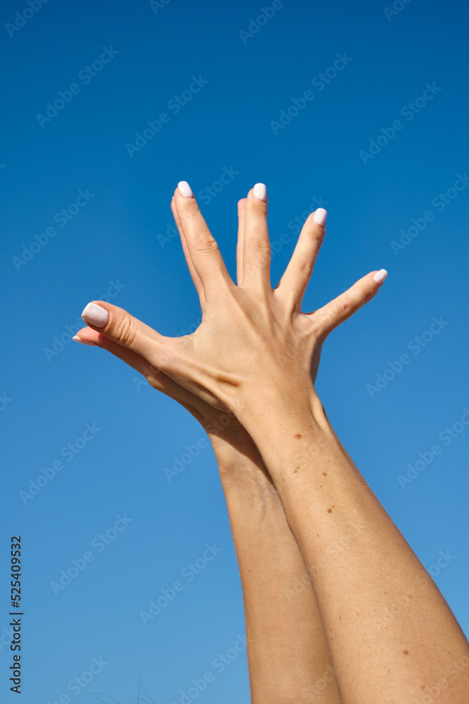 Women's hands folded against the blue sky Women's hands folded against the blue sky
