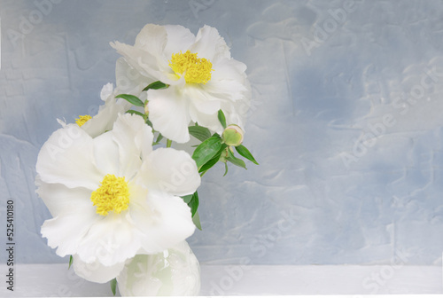 bouquet of white flowers in a vase