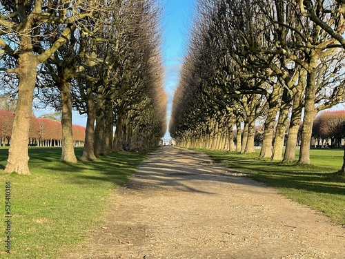 Observatoire de Meudon photo