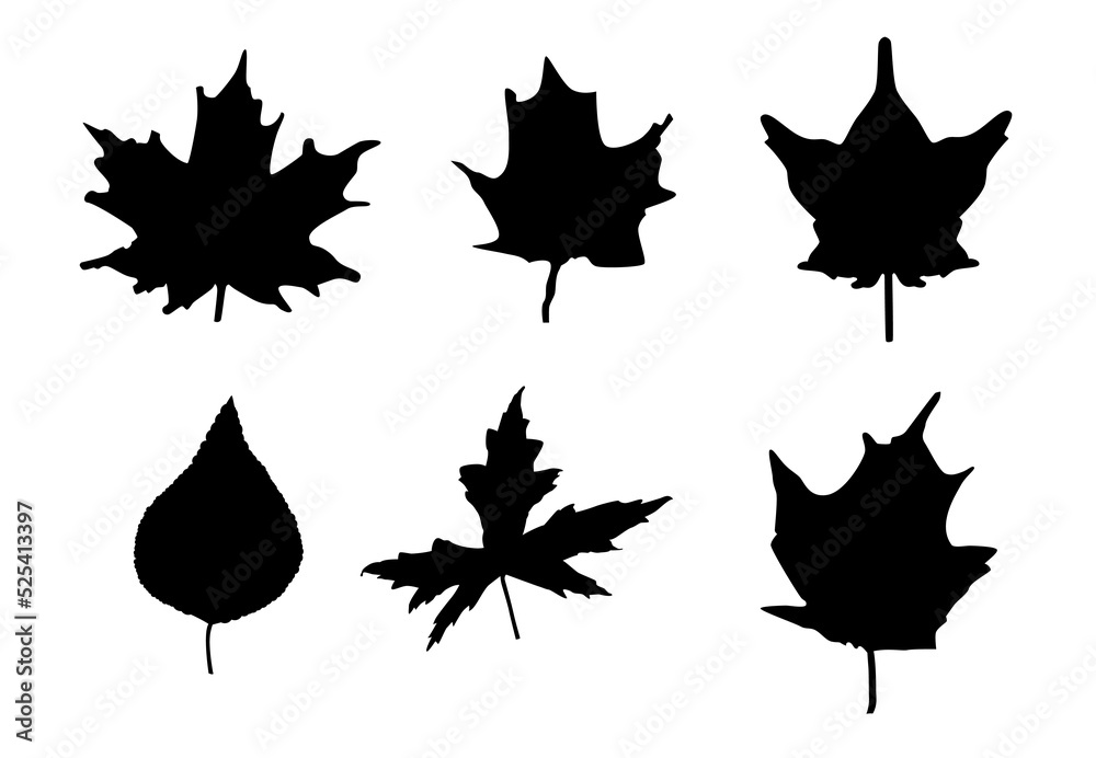 Leaf shapes vector illustration. Maple and other trees leaves. Foliage silhouette design for sticker, stencil, color book.
