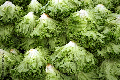 Frische grüner Kraussalat oder Schnittsalat auf einem Wochenmarkt im Stadtteil Erenköy in Sahrayicedit und Kadiköy in Istanbul am Bosporus in der Türkei photo