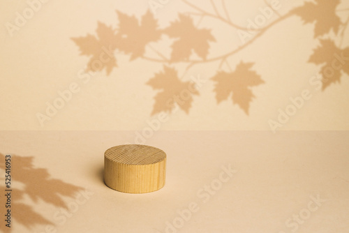 brown box made of precious wood, block, cylindrical podium, branch with maple leaves on a peach-colored background. conceptual autumn scene, stage showcase, product, promotion