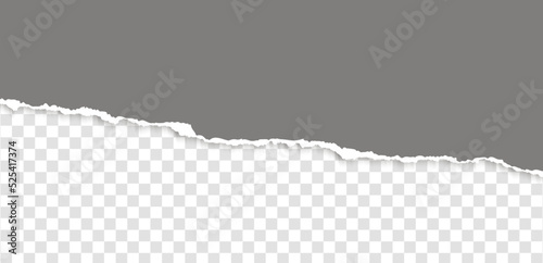Realistic, torn, diagonal strip of gray paper with a light shadow on a transparent background. Torn cardboard.