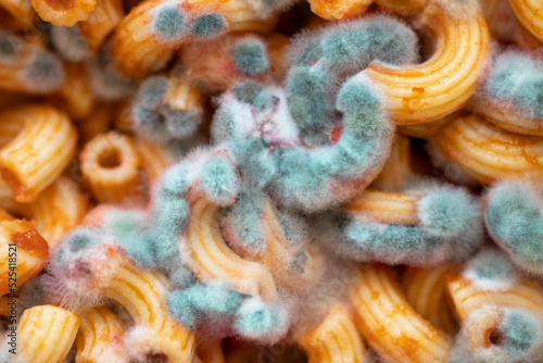 Pasta with mold, spoiled pasta close-up, green mold