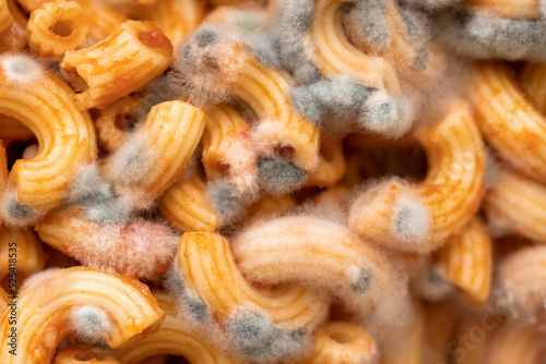 Spoiled pasta, green mold on pasta, close-up