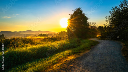 Sunrise over the meadow with tall spruce trees along the curved footpath at Willband Creek Park in Abbotsford, British Columbia, Canada