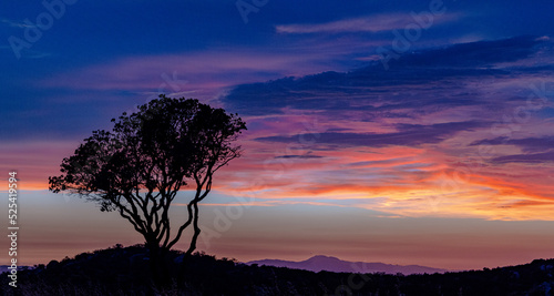 Sunset over a ridge with deep colors and a solitary mesquite tree on a mound.  © RockOn Photographs