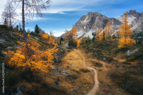Beautiful orange trees and path in mountains at sunset. Autumn colors in Dolomites alps, Italy. Colorful landscape with forest, rocks, trail, yellow grass and sky with clouds. Hiking in mountains