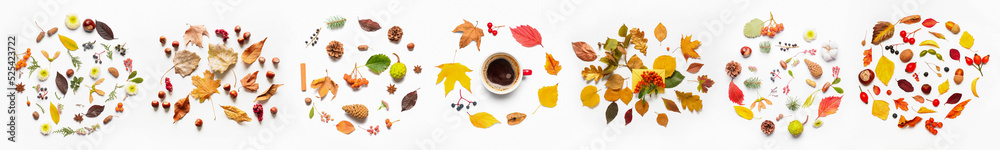Fototapeta premium Beautiful autumn compositions on white background