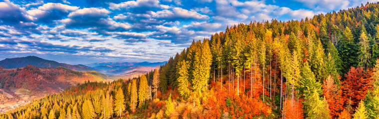 Bright colorful autumn forest and meadow at dawn. Drone view