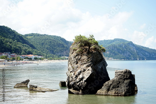 Schroffer Felsen mit einsamem Baum im Sommer bei Sonnenschein am Strand von Inkumu an der Schwarzmeerküste in der Provinz Bartin am Schwarzen Meer in der Türkei photo