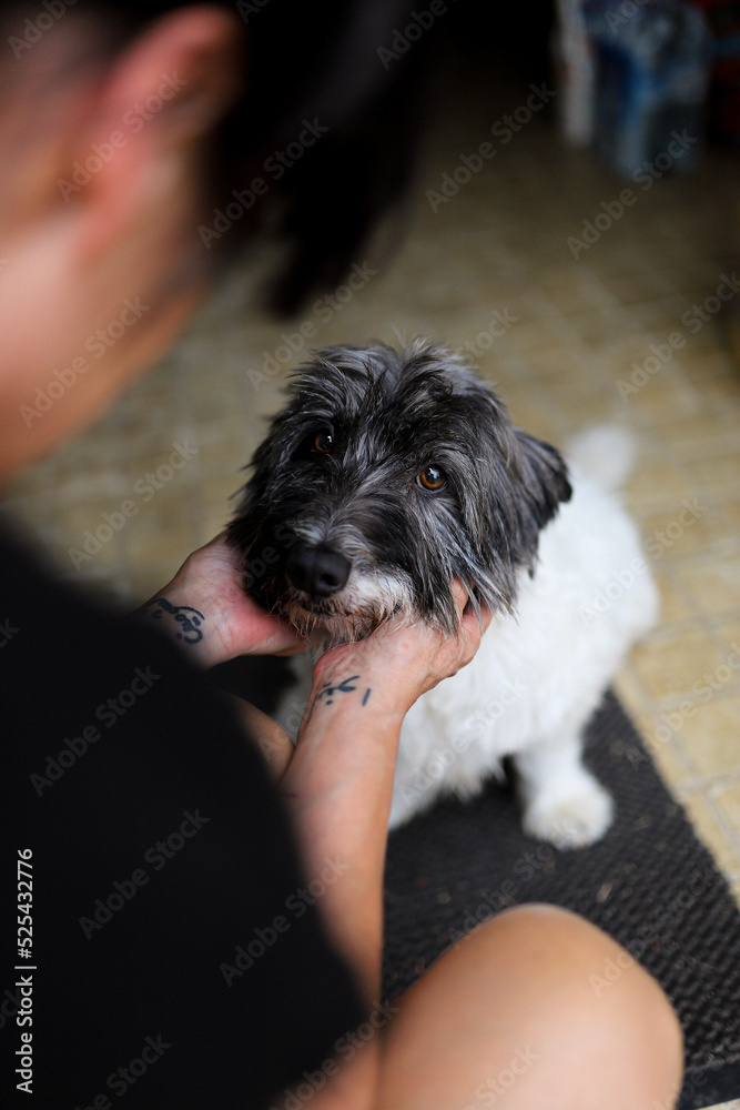 Portrait of an adopted puppy Portrait of an adopted puppy