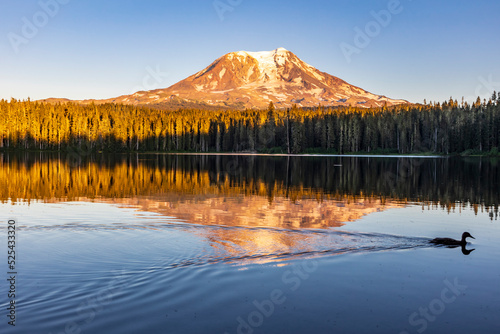 Sunset in the still water of Takhlakh Lake in the Gifford Pinchot National Forest with Mt Adams on the background. photo