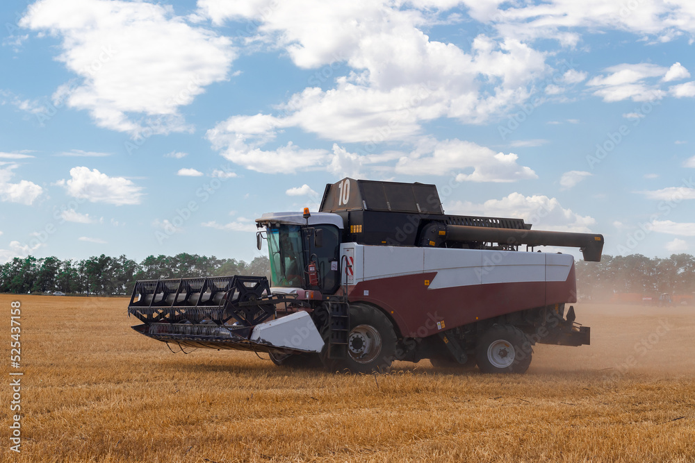 Wheat harvesting in the summer. harvester working in the field Wheat harvesting in the summer. harvester working in the field