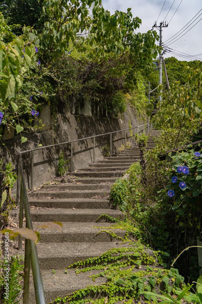 無人の住宅街へ通じる草が生い茂った階段