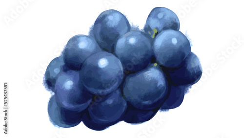 Fotografie bunch of grapes isolated