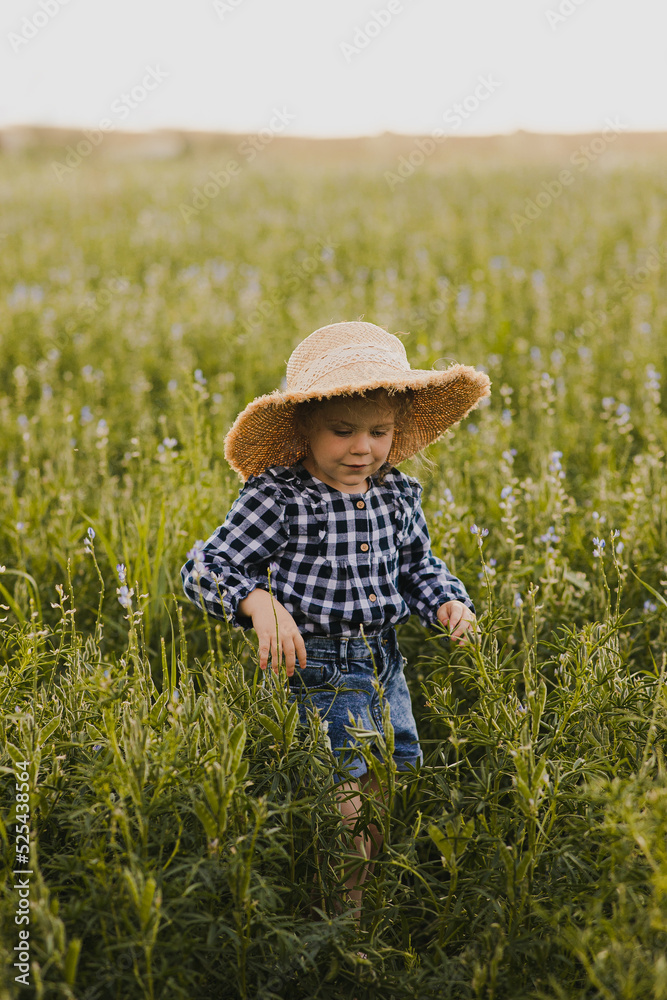 Młoda kobieta z kapeluszem przemierza pole łubinu