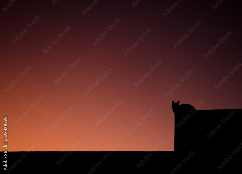Cat silhouette on the roof in pink sunset. Cat silhouette on the roof in pink sunset.